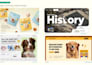 create an animated wordpress website without elementor